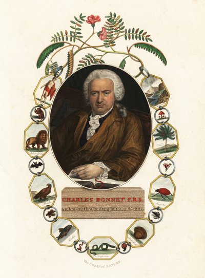 Portrait of Charles Bonnet, Genevan Naturalist (engraving) by Jens Juel