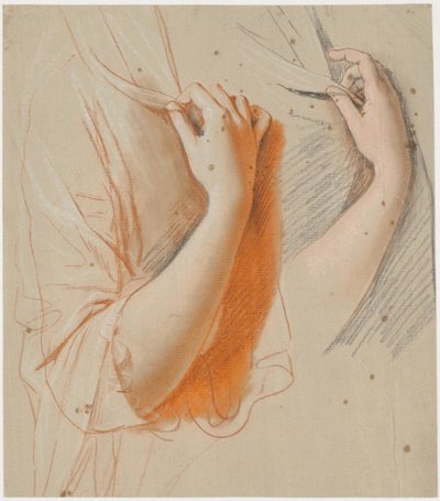 Study of a Woman