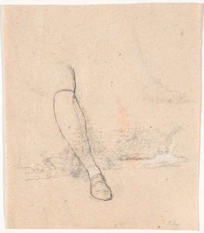 Studies of Plants by a Stream and Right Leg for the Portrait of Envoy Jean-Armand Tronchin Sitting Outdoors by Jens Juel