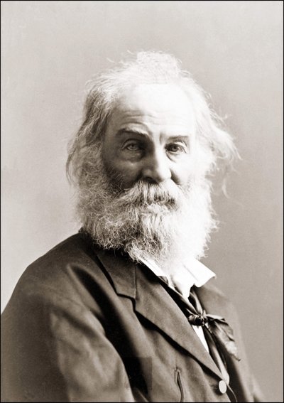 Portrait of Walt Whitman by Gurney Between 1880 and 1890 by Jeremiah Gurney