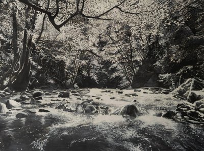 Riverscapes, 2024 by Jerome Glomaud