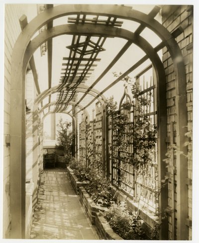Back garden of Mrs Regina Jais, c.1936-37 by Jessie Tarbox Beals
