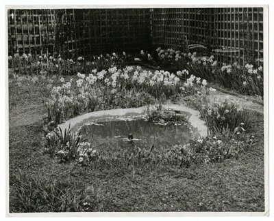Garden of Mr & Mrs Wm H Wells 265 W 11th St, New York, USA by Jessie Tarbox Beals