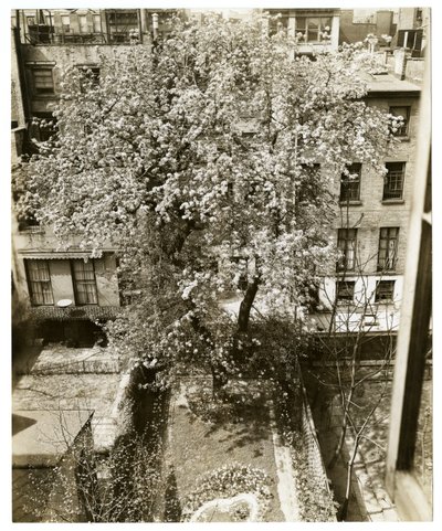 Mrs. W. H. Wells, 265 W 11th by Jessie Tarbox Beals