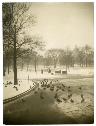 Uncommonly cold in the Common, Boston, USA by Jessie Tarbox Beals