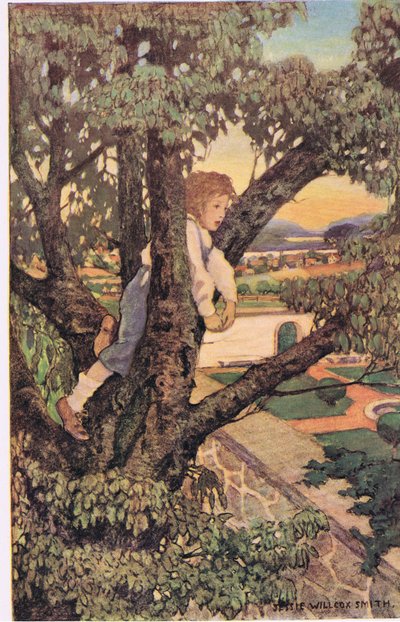 A boy in a tree, from 