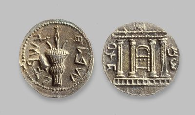 Selah coins from the Bar Kochba Revolt, 134 AD by Jewish School
