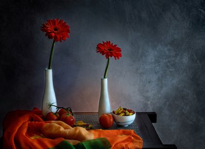 Red Gerbera Still Life by Jie Fischer