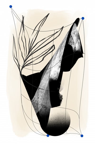Elegant Abstract Botanical by Jilli Darling