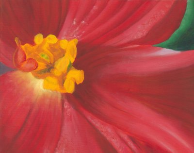 Vibrant Red Bloom by Jillian Claire
