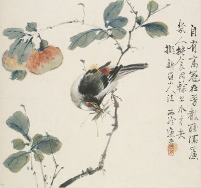 A Chinese Hwamei eating a grasshopper by Jin Yuan