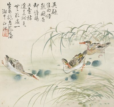 Three Ducks Swimming in a Pool by Jin Yuan