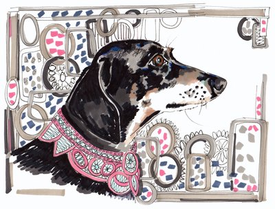 Lacey The Dachshund by Jo Chambers