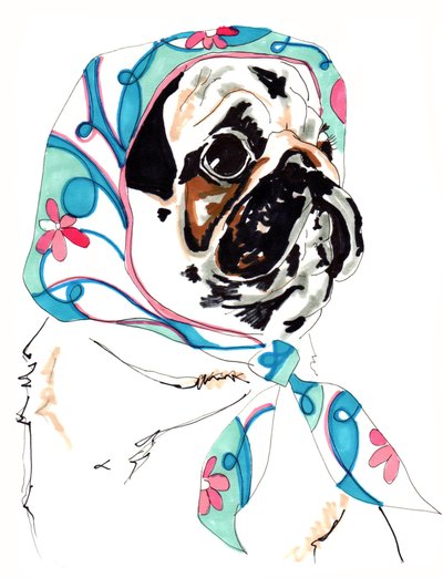 Pug In Pucci, 2012 by Jo Chambers