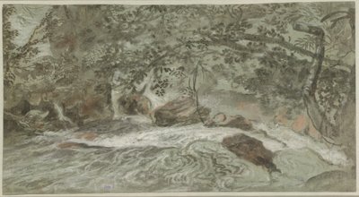 Rapids with Overhanging Branches by Joachim Franz Beich