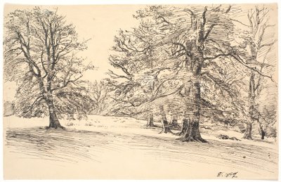 Gently Sloping Terrain with Scattered Large Trees by Joakim Frederik Skovgaard