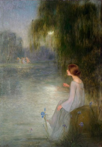Dream by Joan Brull