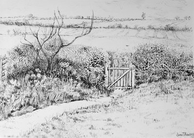 Cottage Gate and View Beyond, 2015 by Joan Thewsey