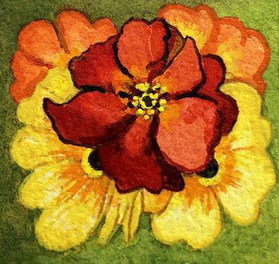 Five Primroses, red, yellow and orange by Joan Thewsey