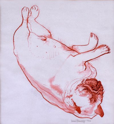 Hogarth Sleeping by Joan Thewsey
