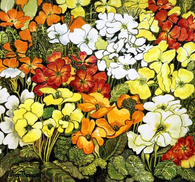 Primrose Border, White, Yellow, Orange and Red Primroses by Joan Thewsey