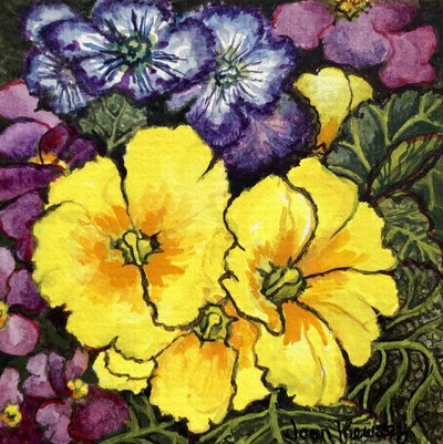 Three Yellow Primroses surrounded by mauve and purple primroses and leaves by Joan Thewsey