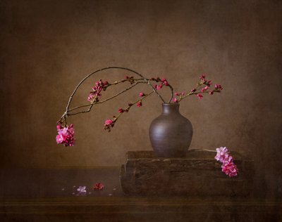 Cherry Blossom Still Life by Joanna W