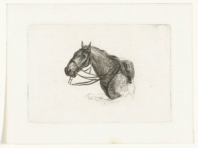 Horse Head to the Left by Joannes Bemme