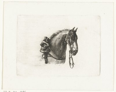 Horse Head to the Right by Joannes Bemme
