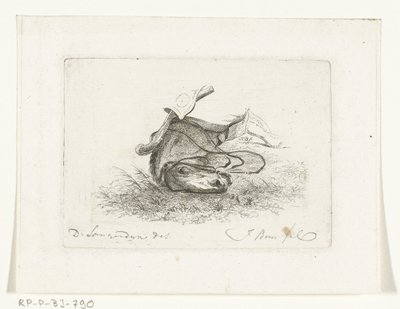 Horse Head of a Lying Horse (series title: Horse Heads after Dirk Langendijk) by Joannes Bemme