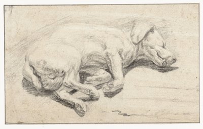 Lying Dog, Sleeping by Joannes Fijt (attributed to)