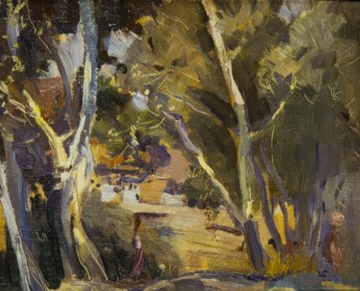 Miravet by Joaquim Mir i Trinxet