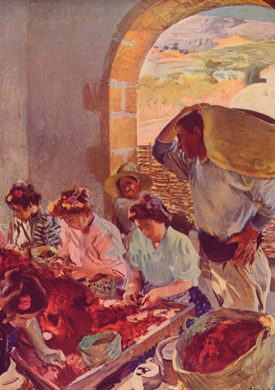 The Preparation of Dry Grapes, 1890 by Joaquín Sorolla