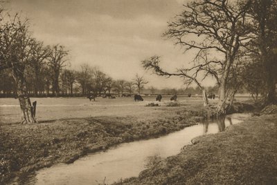 Where Beverley Brook Winds Through The Royal Hunting Park of Richmond, circa 1935 by Joel