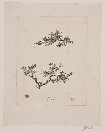 Two Tree Branches by Johan Bülow