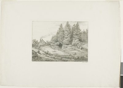 Farmhouse in an Evergreen Forest by Johan Christian Dahl