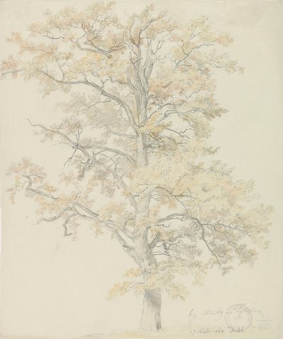 Oak trees with autumn leaves, Milicz by Johan Christian Dahl