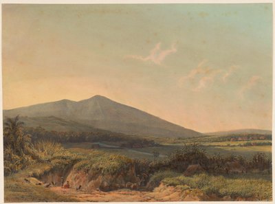 View of Kedungbadak, View of the Land Kedong Badak and the Main Road to Buitenzorg by Johan Conrad Greive