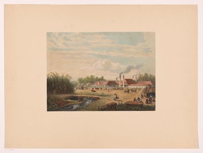 Pangka Factory near Tegal in Central Java by Johan Conrad Greive