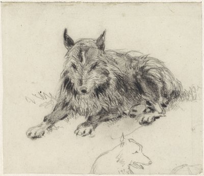Lying Shepherd Dog by Johan Daniël Koelman