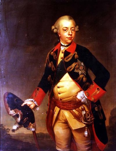 Portrait of William V of Nassau-Dietz, Prince of Orange by Johan Georg