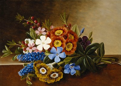 Periwinkle, Auricula and Grape Hyacinths on a Marble Ledge by Johan Laurents Jensen