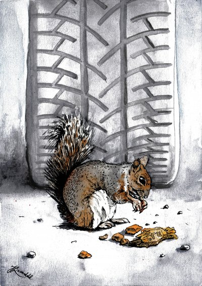 Squirrel by Tire Track by Johan Liewendahl