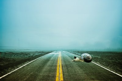 2020 Way Back, 2020 by Johan Lilja