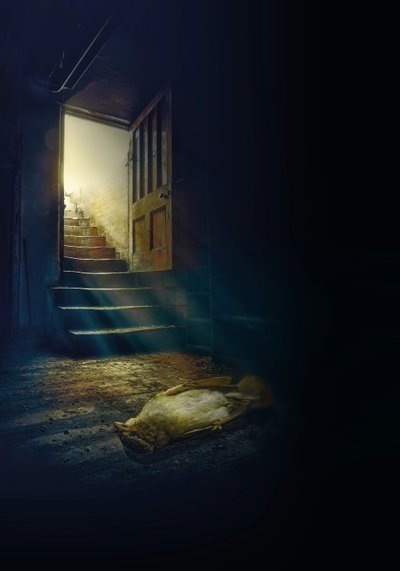 All Opened the Door is Not Freedom, 2022 by Johan Lilja