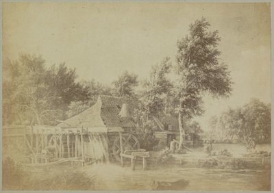 Photoreproduction of the Painting 