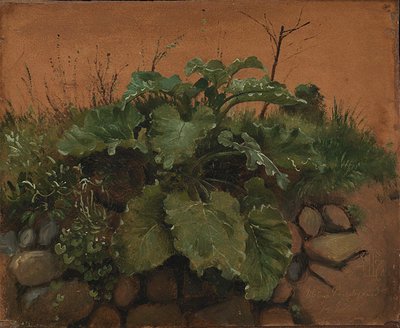 A Burdock and Other Plants on a Stone Wall by Johan Thomas Lundbye