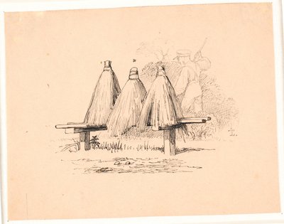 The Bee. Illustration for Kaalund