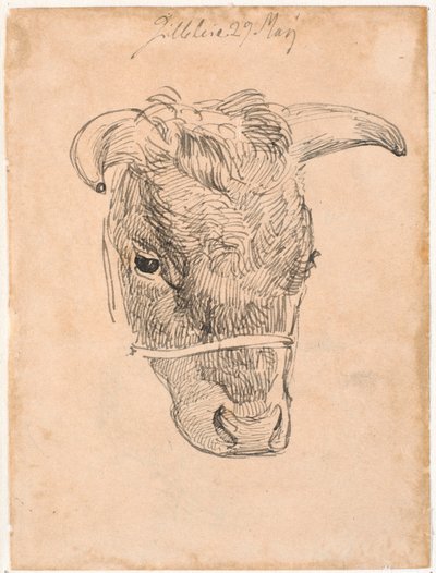 Head of a Cow by Johan Thomas Lundbye