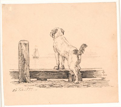 The Dog at the Beach. Illustration for Kaalund